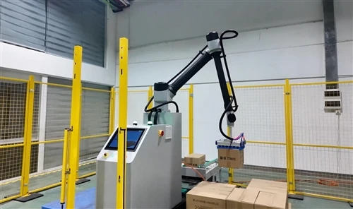 Automated Palletizing Robot Passes Test, Ready For Shipment To USA | Palletiz...