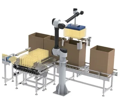 Collaborative Packing Robot Workstation